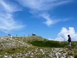Clicca qui per vedere l'immagine in dettaglio